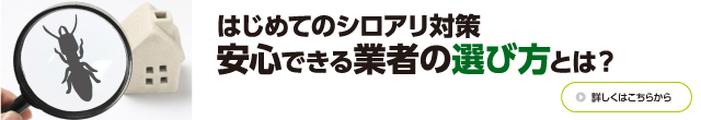 はじめてのシロアリ対策 安心できる業者の選び方とは？