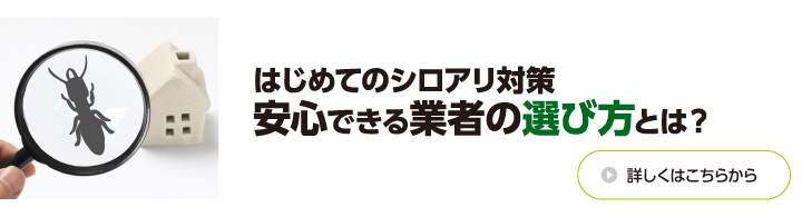 はじめてのシロアリ対策 安心できる業者の選び方とは？