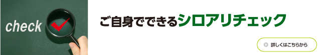 ご自身でできるシロアリチェック