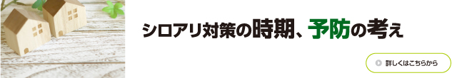 シロアリ対策の時期、予防の考え