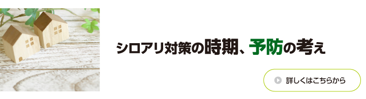 シロアリ対策の時期、予防の考え