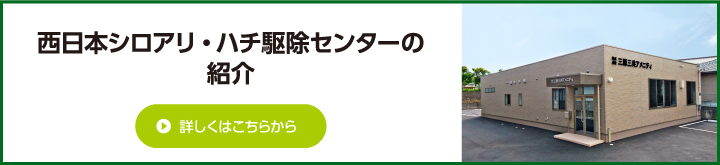 西日本シロアリ・ハチ駆除センターの紹介